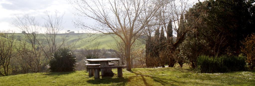 Agriturismo Castello Saltemnano Buonconvento Bagian luar foto