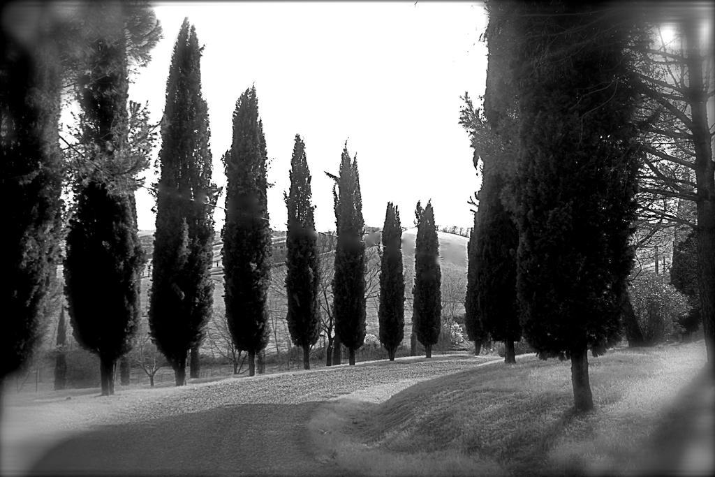 Agriturismo Castello Saltemnano Buonconvento Bagian luar foto