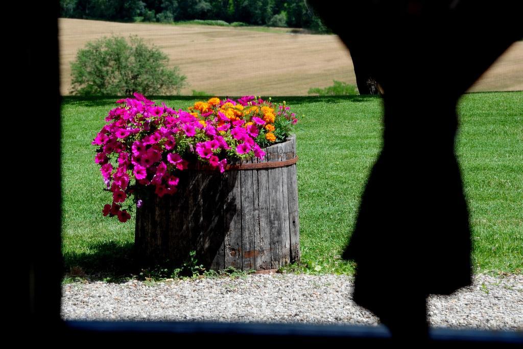 Agriturismo Castello Saltemnano Buonconvento Ruang foto