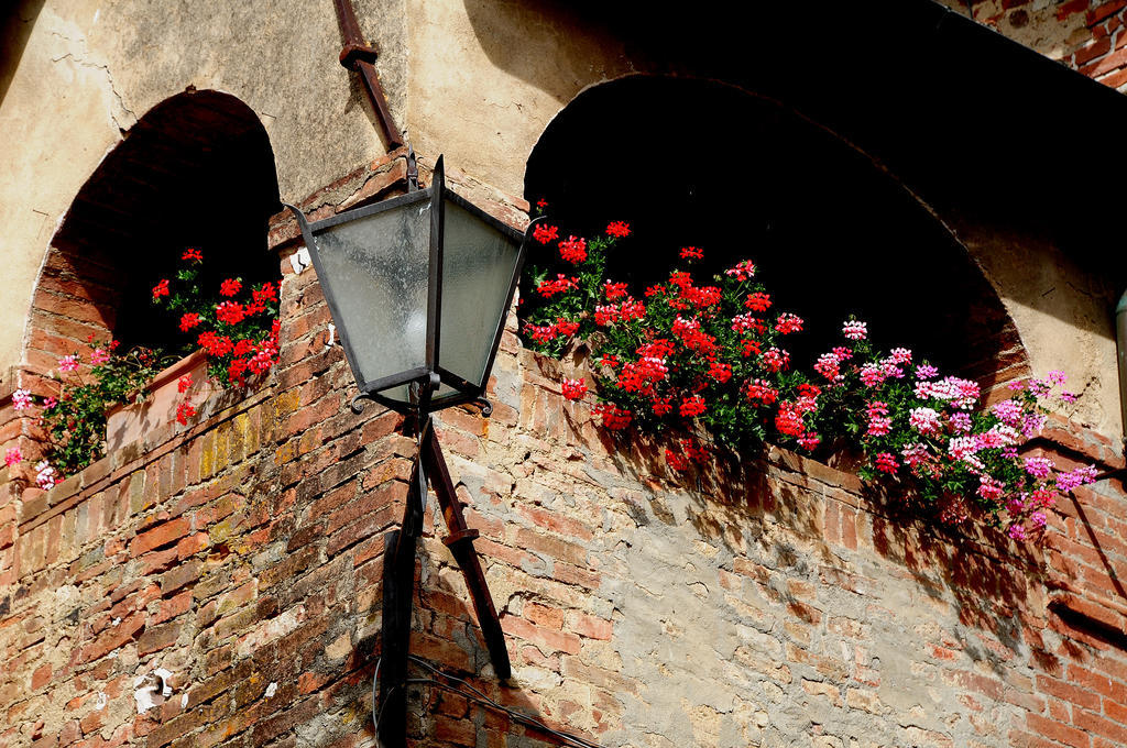 Agriturismo Castello Saltemnano Buonconvento Bagian luar foto