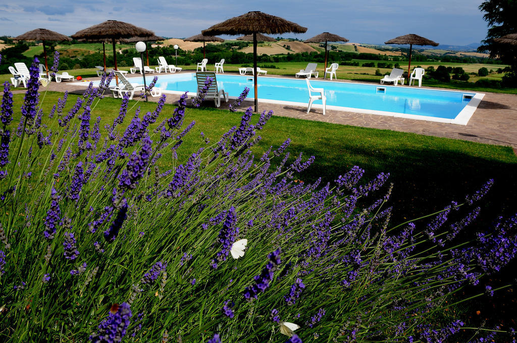 Agriturismo Castello Saltemnano Buonconvento Bagian luar foto