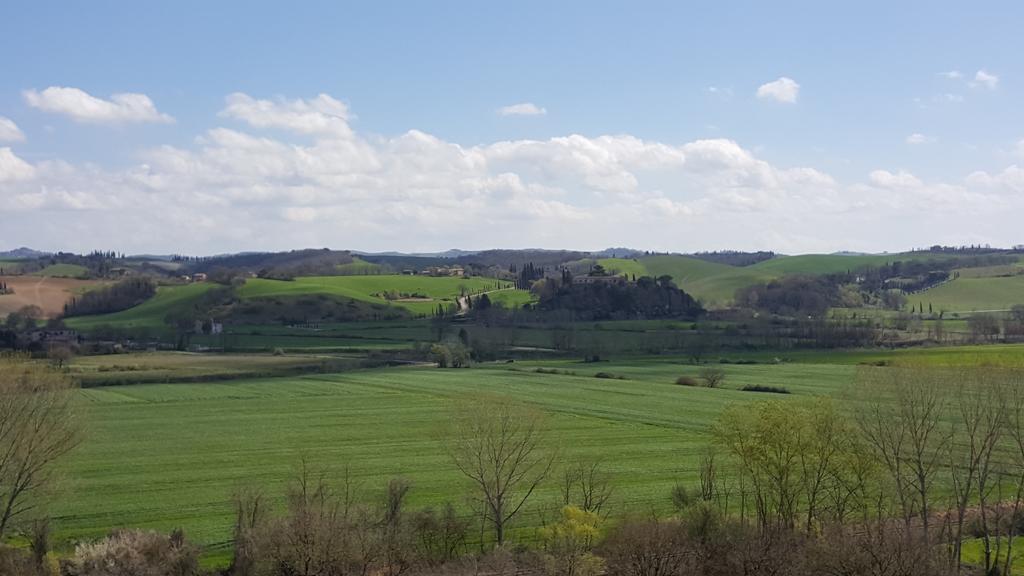 Agriturismo Castello Saltemnano Buonconvento Bagian luar foto