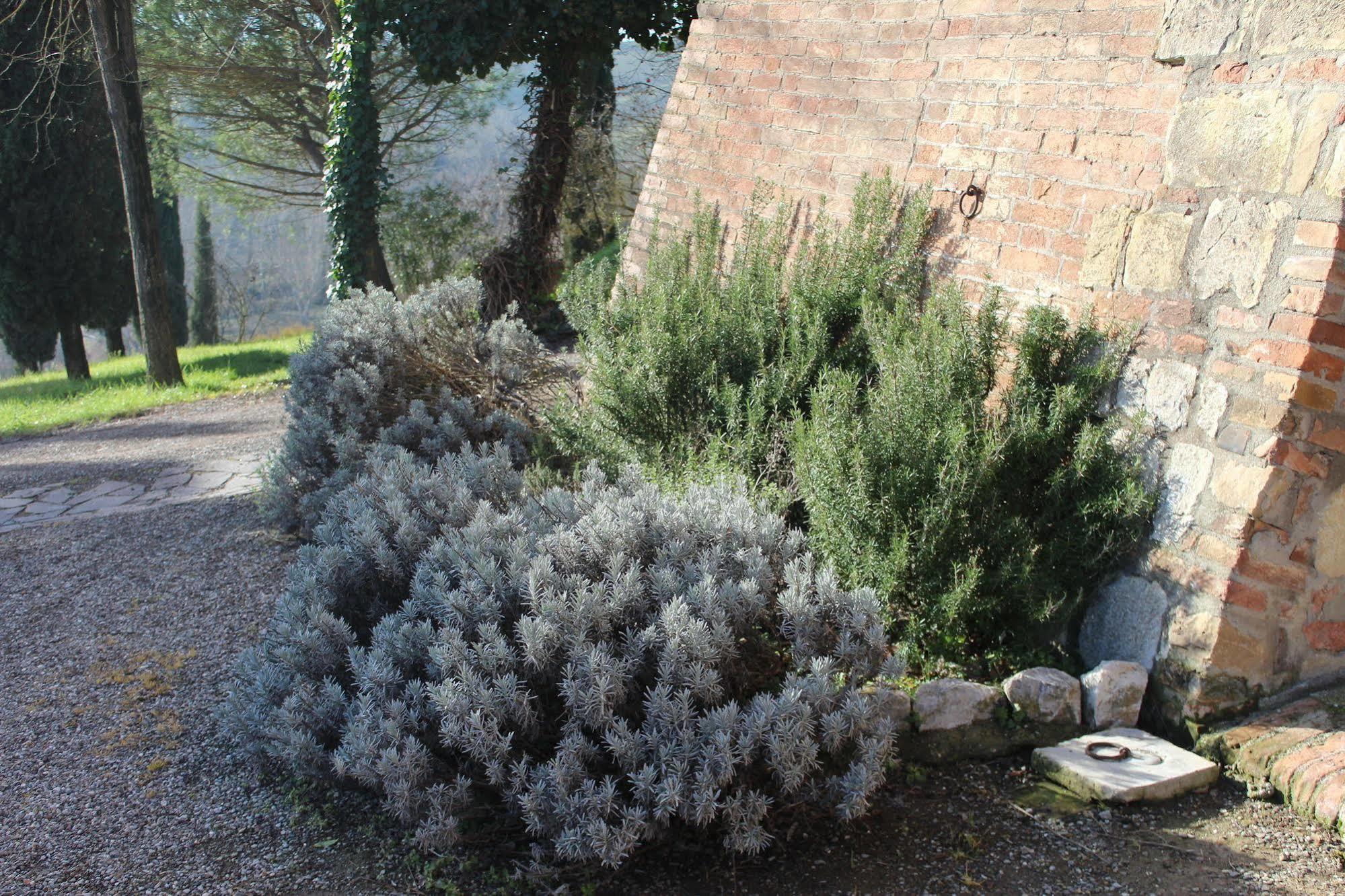 Agriturismo Castello Saltemnano Buonconvento Bagian luar foto